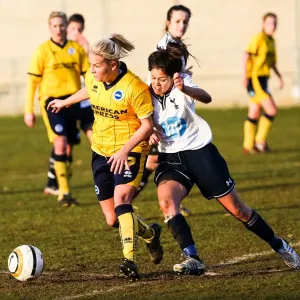 Battle of the Seaside: Brighton & Hove Albion vs. Tottenham - Women's Football, 2013-14 Season Battle of the Seaside: Brighton & Hove Albion vs. Tottenham - Women's Football, 2013-14 Season