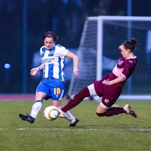 Battle of the South Coast: Brighton & Hove Albion vs. Portsmouth - Women's Football, 2013-14 Season Battle of the South Coast: Brighton & Hove Albion vs. Portsmouth - Women's Football, 2013-14 Season