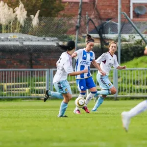 Battle in the Women's Football Season: Brighton & Hove Albion vs. West Ham United (2013-14)