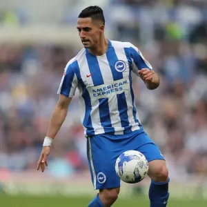 Beram Kayal in Action: Brighton & Hove Albion vs. Bristol City, EFL Sky Bet Championship (29th April 2017)