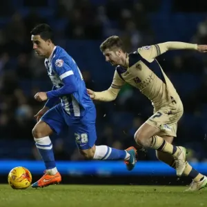 Beram Kayal in Action: Brighton vs. Leeds United, February 2015 Beram Kayal in Action: Brighton vs. Leeds United, February 2015