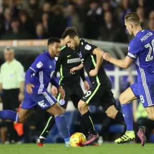 Birmingham vs. Brighton: Clash in the EFL Sky Bet Championship (17DEC16) Birmingham vs. Brighton: Clash in the EFL Sky Bet Championship (17DEC16)