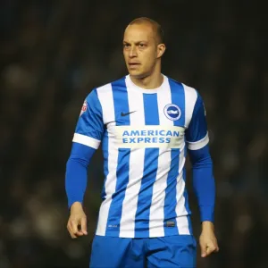 Bobby Zamora in Action: Brighton and Hove Albion vs Sheffield Wednesday (08/03/2016) Bobby Zamora in Action: Brighton and Hove Albion vs Sheffield Wednesday (08/03/2016)