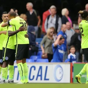 Bobby Zamora's Celebration: Brighton Secure Hard-Fought Victory Over Ipswich Town in Sky Bet Championship (28/08/2015)