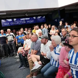 Brentford v Brighton and Hove Albion Premier League 19APR25