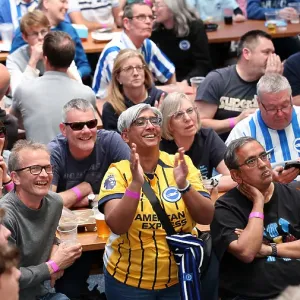 Brentford v Brighton and Hove Albion Premier League 19APR25