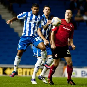 Bridcutt and Greer in Action: Brighton & Hove Albion vs. Cardiff City, Npower Championship Clash (August 2012) Bridcutt and Greer in Action: Brighton & Hove Albion vs. Cardiff City, Npower Championship Clash (August 2012)