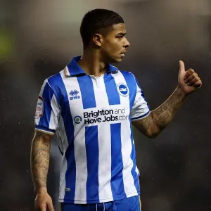 Brighton Bolton 121124 Brighton Bolton 121124