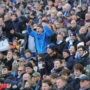 Brighton and Crystal Palace Face Off in Premier League Clash at American Express Community Stadium (29 February 2020) Brighton and Crystal Palace Face Off in Premier League Clash at American Express Community Stadium (29 February 2020)