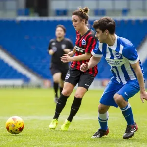 Brighton & Hove Albion: 12 Staff Match, 25 May 2015 - A Team Bonding Moment on the Pitch Brighton & Hove Albion: 12 Staff Match, 25 May 2015 - A Team Bonding Moment on the Pitch