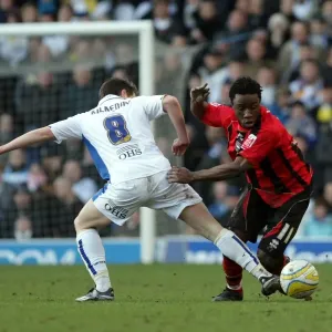Brighton & Hove Albion: 2009-10 Away Season at Leeds United Brighton & Hove Albion: 2009-10 Away Season at Leeds United