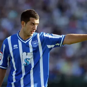 Brighton & Hove Albion 2010-11: Home Game vs. Walsall Brighton & Hove Albion 2010-11: Home Game vs. Walsall