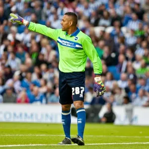 Brighton & Hove Albion: 2012-13 Pre-Season - A Look Back at the Reading Match Brighton & Hove Albion: 2012-13 Pre-Season - A Look Back at the Reading Match