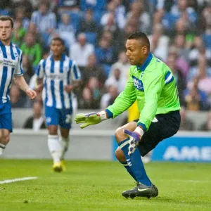 Brighton & Hove Albion: 2012-13 Pre-Season - A Look Back at the Reading Match Brighton & Hove Albion: 2012-13 Pre-Season - A Look Back at the Reading Match