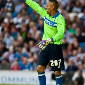 Brighton & Hove Albion: 2012-13 Pre-Season - Reading Brighton & Hove Albion: 2012-13 Pre-Season - Reading