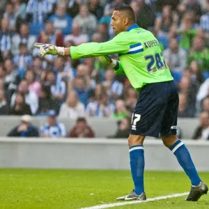 Brighton & Hove Albion: 2012-13 Pre-Season - Reading Brighton & Hove Albion: 2012-13 Pre-Season - Reading