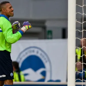 Brighton & Hove Albion: 2012-13 Pre-Season - Reading Brighton & Hove Albion: 2012-13 Pre-Season - Reading