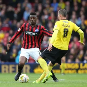 Brighton & Hove Albion: 2014-15 Away Game - Watford (October 4, 2014) Brighton & Hove Albion: 2014-15 Away Game - Watford (October 4, 2014)