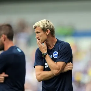 Brighton & Hove Albion 2014-15: Home Match against Sheffield Wednesday (September 8th, 2014)