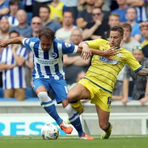 Brighton & Hove Albion 2014-15: Home Match vs Sheffield Wednesday (September 8th)