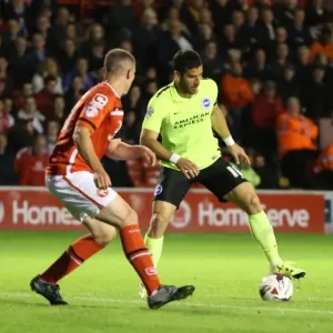 Brighton and Hove Albion in Action against Walsall during the Capital One Cup Match, 25th August 2015 (Walsall vs. Brighton)