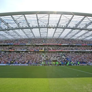 Brighton & Hove Albion at The Amex Stadium