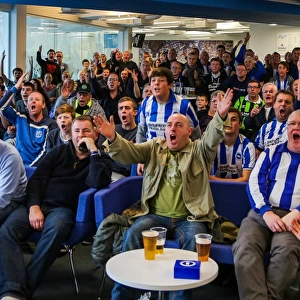 Brighton & Hove Albion: The Amex Stadium Crowds (2012-2013)