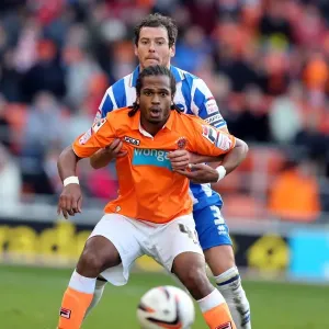 Brighton & Hove Albion Away at Blackpool (2012-13 Season): Game Highlights (Blackpool, 27-10-2012) Brighton & Hove Albion Away at Blackpool (2012-13 Season): Game Highlights (Blackpool, 27-10-2012)