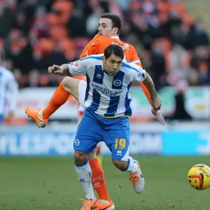 Brighton & Hove Albion Away at Blackpool (2013-14 Season) Brighton & Hove Albion Away at Blackpool (2013-14 Season)