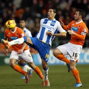 Brighton & Hove Albion Away at Blackpool (2013-14 Season) Brighton & Hove Albion Away at Blackpool (2013-14 Season)