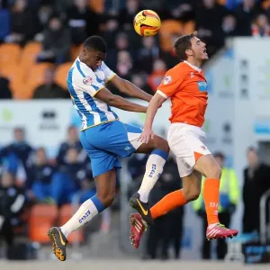 Brighton & Hove Albion Away at Blackpool (2013-14 Season) Brighton & Hove Albion Away at Blackpool (2013-14 Season)