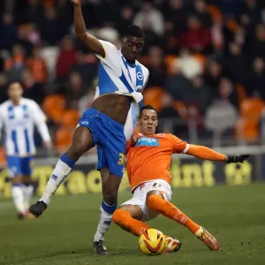 Brighton & Hove Albion Away at Blackpool (2013-14 Season) Brighton & Hove Albion Away at Blackpool (2013-14 Season)