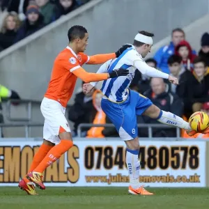 Brighton & Hove Albion Away at Blackpool (2013-14 Season) Brighton & Hove Albion Away at Blackpool (2013-14 Season)