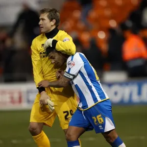 Brighton & Hove Albion Away at Blackpool (2013-14 Season) Brighton & Hove Albion Away at Blackpool (2013-14 Season)