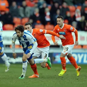 Brighton & Hove Albion Away at Blackpool (2013-14 Season) Brighton & Hove Albion Away at Blackpool (2013-14 Season)