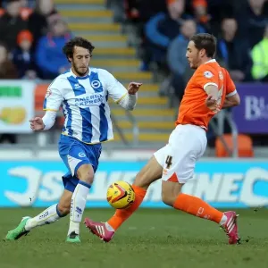 Brighton & Hove Albion Away at Blackpool (2013-14 Season) Brighton & Hove Albion Away at Blackpool (2013-14 Season)