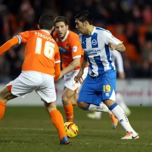 Brighton & Hove Albion Away at Blackpool (2013-14 Season): December 29, 2013 Brighton & Hove Albion Away at Blackpool (2013-14 Season): December 29, 2013