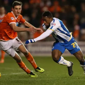 Brighton & Hove Albion Away at Blackpool (29-12-2013) - Season 2013-14 Brighton & Hove Albion Away at Blackpool (29-12-2013) - Season 2013-14