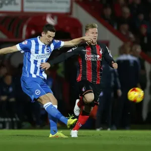 Brighton & Hove Albion Away at Bournemouth - 01NOV14 Brighton & Hove Albion Away at Bournemouth - 01NOV14