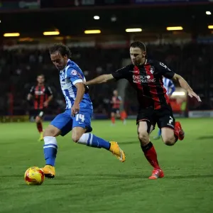 Brighton & Hove Albion Away at Bournemouth - 2014-15 Season: Game Highlights (Bournemouth 01NOV14) Brighton & Hove Albion Away at Bournemouth - 2014-15 Season: Game Highlights (Bournemouth 01NOV14)