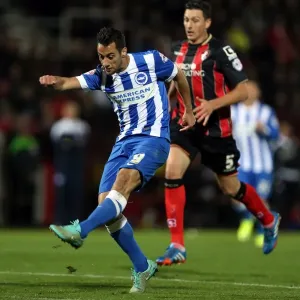 Brighton & Hove Albion Away at Bournemouth - November 1, 2014 (Bournemouth 01NOV14) Brighton & Hove Albion Away at Bournemouth - November 1, 2014 (Bournemouth 01NOV14)