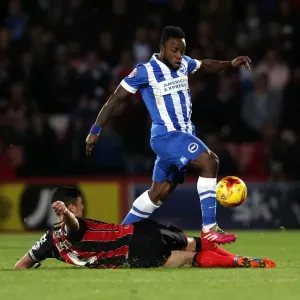 Brighton & Hove Albion Away at Bournemouth - Season 2014-15 (01NOV14) Brighton & Hove Albion Away at Bournemouth - Season 2014-15 (01NOV14)