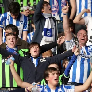 Brighton & Hove Albion Away Days 2011-12: A Sea of Supporters Brighton & Hove Albion Away Days 2011-12: A Sea of Supporters