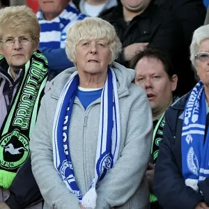 Brighton and Hove Albion Away Days 2012-13: A Sea of Supporters (Crowd Shots)
