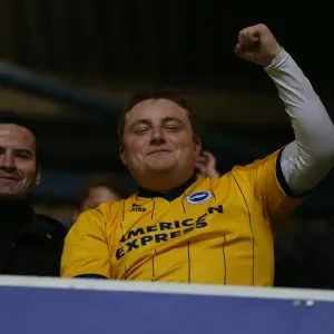Brighton and Hove Albion Away Days 2013-14 Print Brighton and Hove Albion Away Days 2013-14 Print