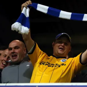 Brighton and Hove Albion Away Days 2013-14 Print Brighton and Hove Albion Away Days 2013-14 Print