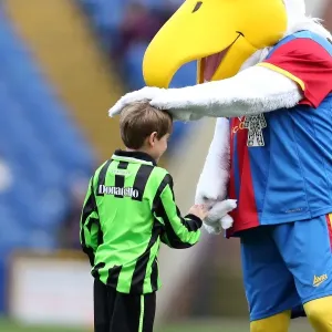 Brighton & Hove Albion Away Game vs. Crystal Palace (01-12-2012) - 2012-13 Season
