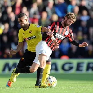 Brighton & Hove Albion: Away Game at Watford (04OCT14) Brighton & Hove Albion: Away Game at Watford (04OCT14)