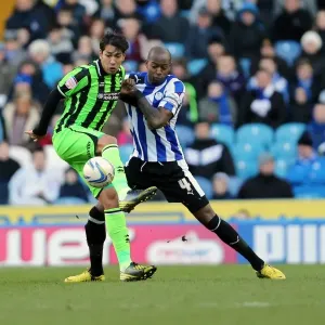 Brighton & Hove Albion Away at Sheffield Wednesday: 2012-13 Season