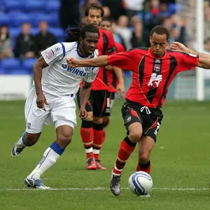 Brighton & Hove Albion Away at Tranmere Rovers: 2010-11 Season Brighton & Hove Albion Away at Tranmere Rovers: 2010-11 Season